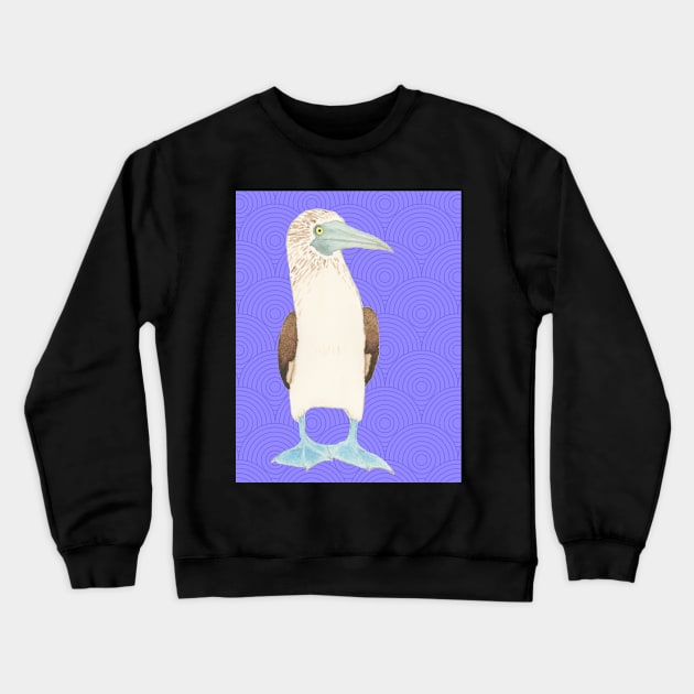 Blue Footed Booby Against Purple Background Crewneck Sweatshirt by VegShop